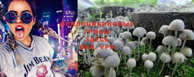 Псилоцибиновые грибы MAGIC MUSHROOMS  Красный Сулин 